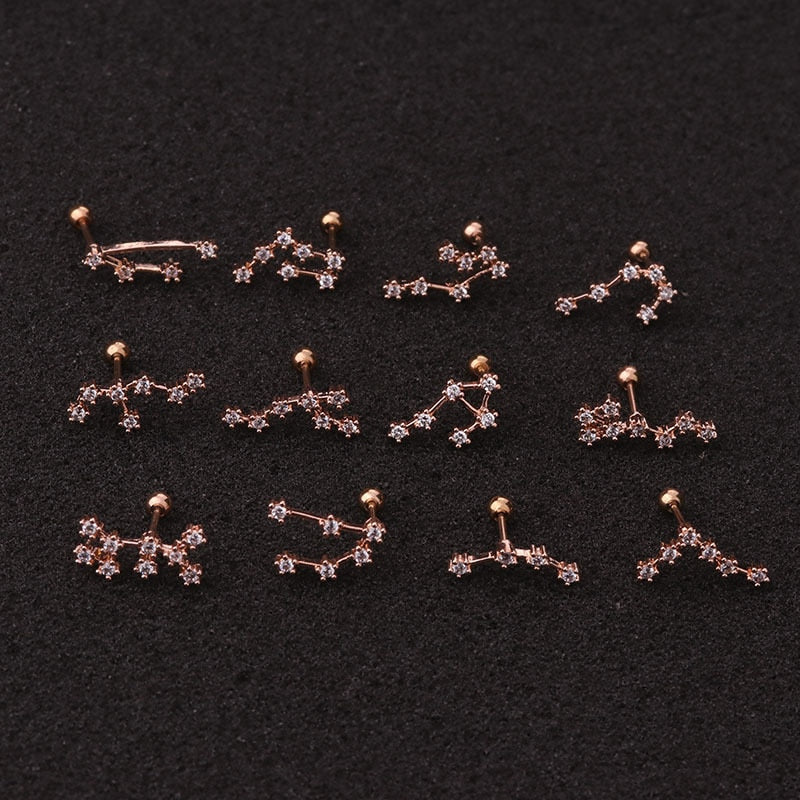 1 Pcs Twelve Constellation Star Cartilage Earring Non-Allergic Silver Color CZ Zodiac Screw Piercing Ear Decor Jewelry Gift